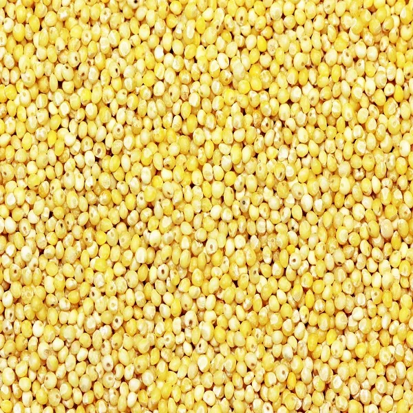 white red black yellow glutinous for sale