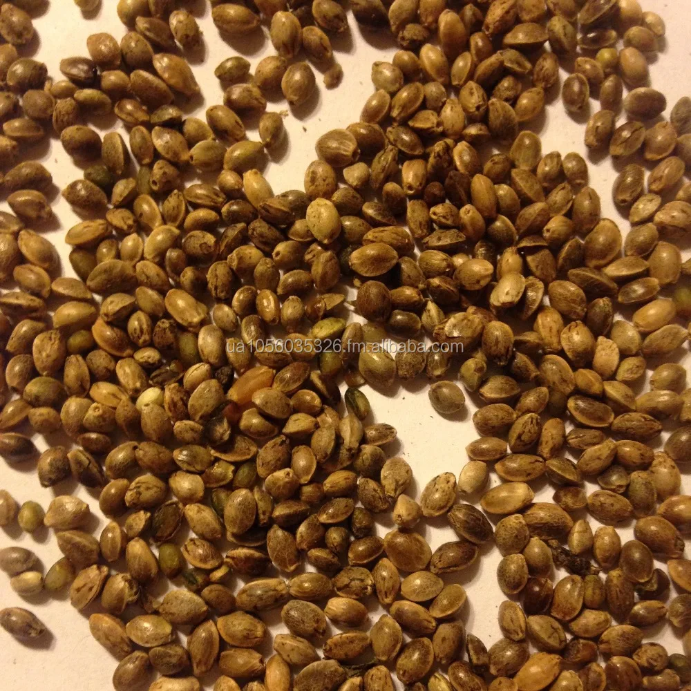 organic hemp seeds