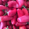 red pepper/red bell pepper Pink pepper good price contact now