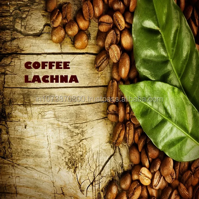 Unroasted Arabica 50 Weight(kg)and PP Bag Packaging coffee beans