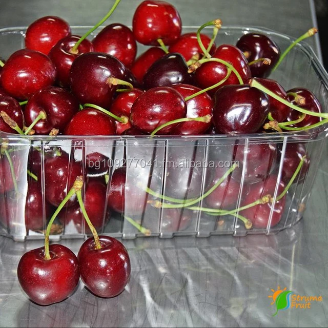 fresh cherry fruit