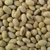 Human Consumption IQF Edamame soya bean, soybean/ Roasted Soya Beans/ fresh soybeans.