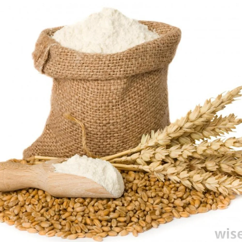 wheat gluten bulk