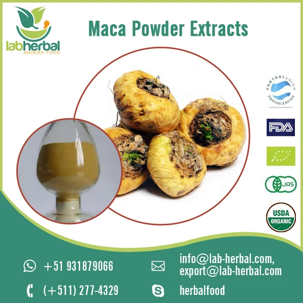 Maca Powder Extracts.jpg