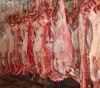 Highest quality,choice beef Whole - Frozen Beef Carcass (Whole,Quarter,Halved) Beef Cuts. HAACP,HALAL,KOSHER