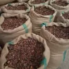 /product-detail/cocoa-beans-from-cote-d-ivoire-ghana-and-cameroon-for-sale-62007407064.html