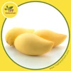 /product-detail/export-quality-fresh-mango-nam-dok-mai-variety-golden-honey-eastern-thailand-166870288.html