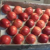 Fresh fruits Apples fresh Prince red apples Polish origin apples