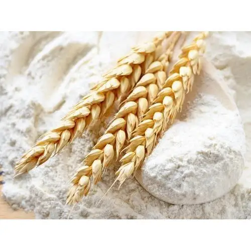 الحبوب الكاملة دقيق القمح 50 كجم التعبئة والتغليف بكميات كبيرة ..!!