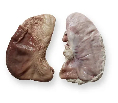 17.1 (2).jpg