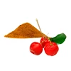 Acerola cherry extract powder for bulk order