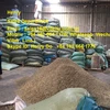 Big Sale Head Anchovy/make animal feed/fish meal/protein 40%min