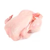 High quality fresh or frozen meat chicken