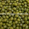 /product-detail/100-natural-green-mung-bean-green-gram-842835119589-50028304589.html