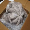 /product-detail/certified-frozen-big-size-octopus-50038424567.html