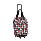 Shopping Bag and Collapsible Foldable Luggage Cart