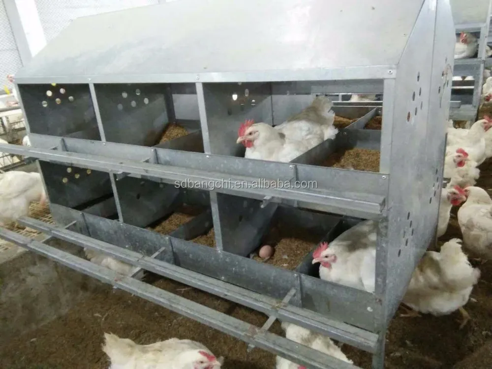 Chicken Egg  Nest Box Hens Laying Nest.jpg