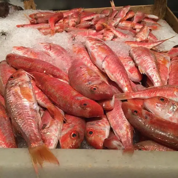 frozen / fresh red mullet fish