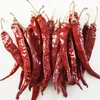 Indian Dry Red Chilli And Whole Chilli
