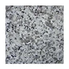 Newstar cheap price G439 big white flower spring granite polished floor tiles imported philippines