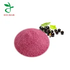 Instant Fruit Powder, Blackcurrant Concentrate Drink Powder, Spray Dried Black Currant Powder