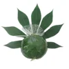 /product-detail/frozen-cassava-leaves-ball-50039156951.html