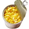 /product-detail/foods-fresh-canned-sweet-corn-2840g-62005981014.html