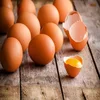 /product-detail/fresh-farm-chicken-table-eggs-fresh-chicken-hatching-eggs-at-good-prices-62000233227.html