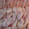 /product-detail/turkish-halal-chicken-feet-frozen-chicken-paws-fresh-chicken-wings-and-legs-in-promotion-prices-50046961680.html