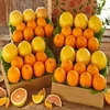 FRESH QUALITY ORANGES AND LEMON/ Valencia Oranges at the best quality on 30% Discount