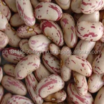 Speckled light Red kidney beans Black Kidney Beans White Kidney Beans