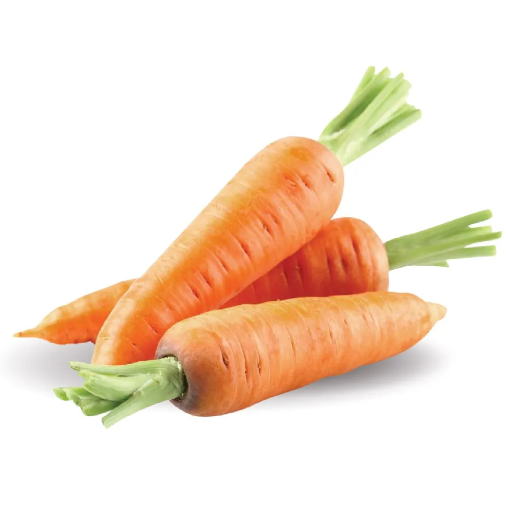 new crop fresh carrot - baby carrots (whatsapp