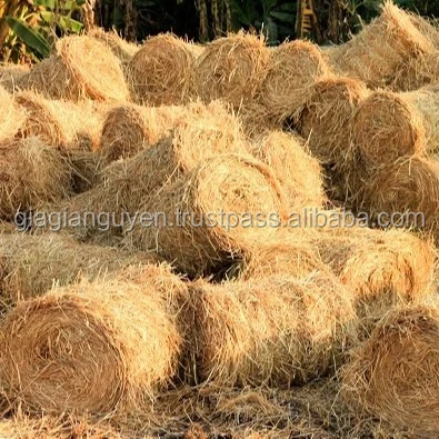 CHEAP VIETNAM RICE STRAW BALES GOOD FOR ANIMAL FEED/BEDDING/MUSHROOM