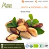 Organic Raw Brazil Nuts / Brazil Nuts Wholesale