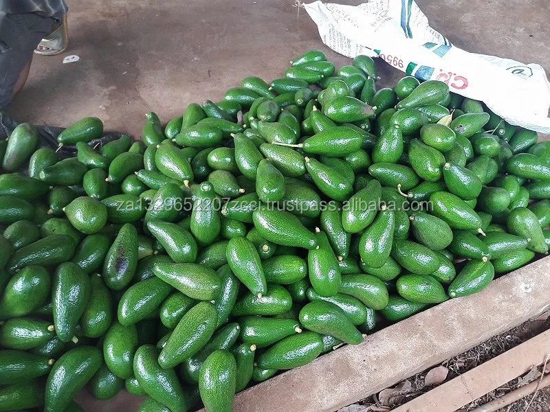 Avocados (8).jpg