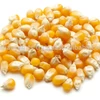 /product-detail/best-yellow-maize-animal-feed-2019-50039486675.html