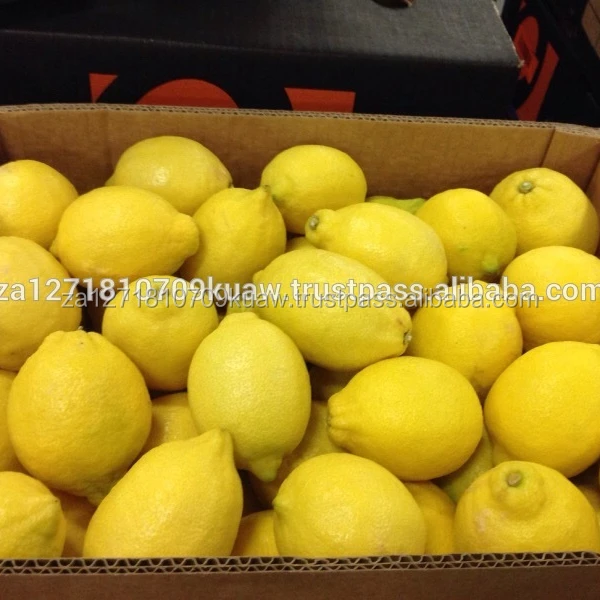 قسط الخالي الطازجة الليمون/الصف الليمون و الجير الفواكه للتصدير