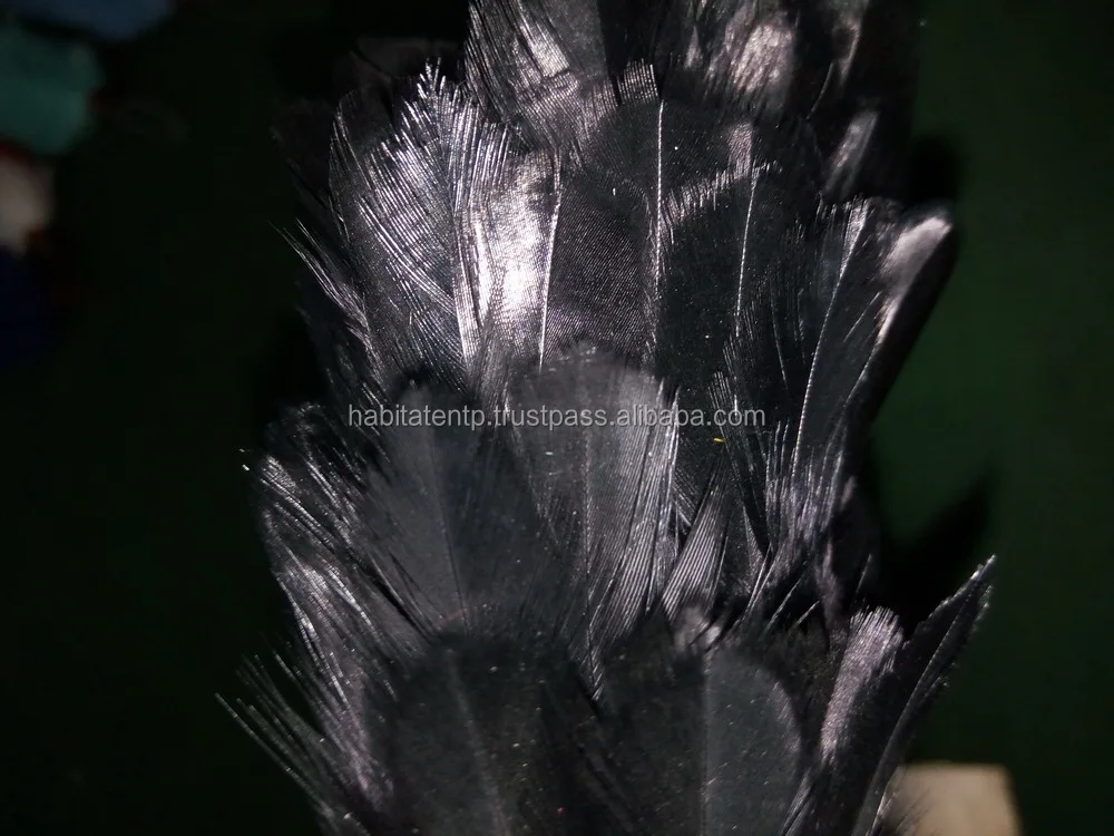 custom made full black hackle plume pakistan wholesaler factory