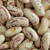 /product-detail/cheap-price-long-light-kidney-beans-sugar-beans-from-turkey--62006336079.html
