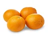fresh Navel and Valencia Orange - Citrus fruit for sale