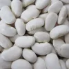 /product-detail/wholesale-price-of-white-kidney-beans-50036664482.html
