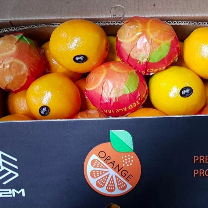 fresh valencia - navel orange egypt