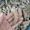 /product-detail/cheap-price-dried-sea-cucumber-product-goodprice-50043619962.html