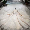 Luxury Elegant Backless Long Train Wedding Dress Bridal Gown Lace Appliqued Veil Mermaid Sexy Indian Wedding Dress