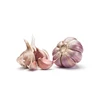 /product-detail/natural-garlic-supplier-with-low-moq-50047363254.html