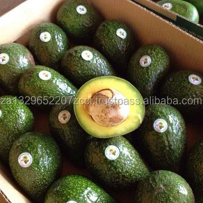 AVOCADO HASS...jpg