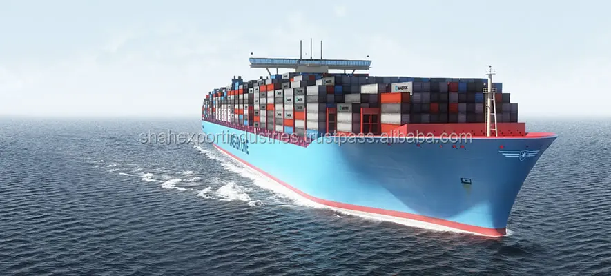 sea-freight.jpg