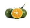 Vietnam green orange / King mandarin / Fresh fruit for importers