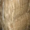 Sisal Fiber And Flax Fibers for ready for Export