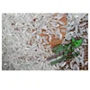 /product-detail/vietnam-long-grain-white-rice-5-broken-wholesale-123895605.html